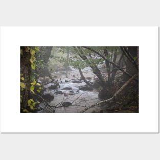 Foggy Creek Posters and Art